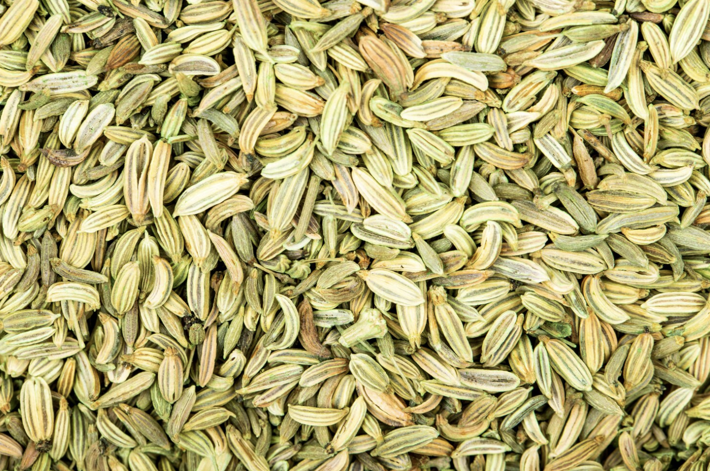 8 Incredible Health Benefits Of Fennel Seeds (Saunf)